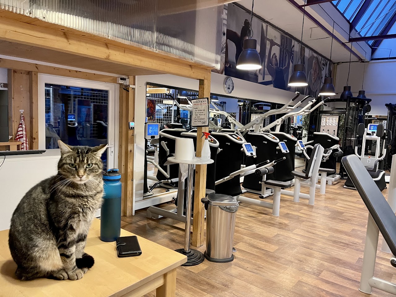 Trainingsgeräte im BIG Fitness Laufen