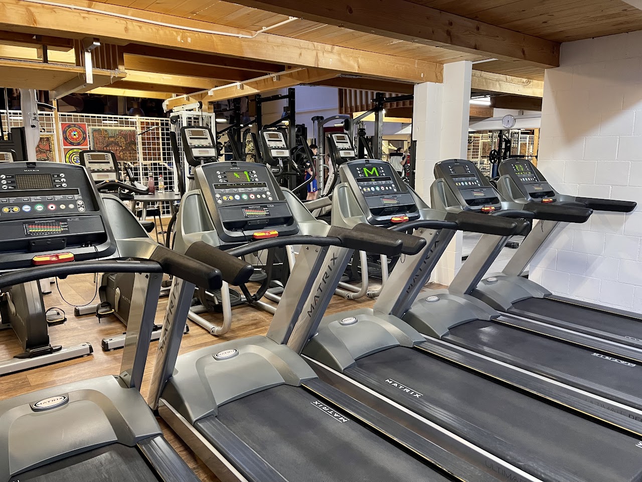 Cardio-Bereich im BIG Fitness Laufen mit Laufbändern und Crosstrainern